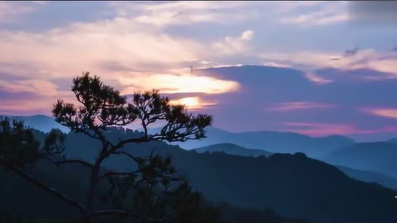 冠福股份：拟划转3.9万平土地使用权 用于建设数字经济和产业互联网产业园区